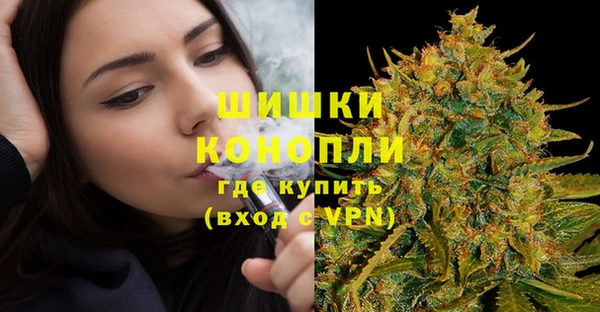 прущие грибы Балабаново