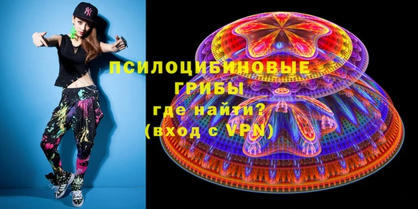 прущие грибы Балабаново