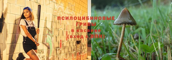 прущие грибы Балабаново